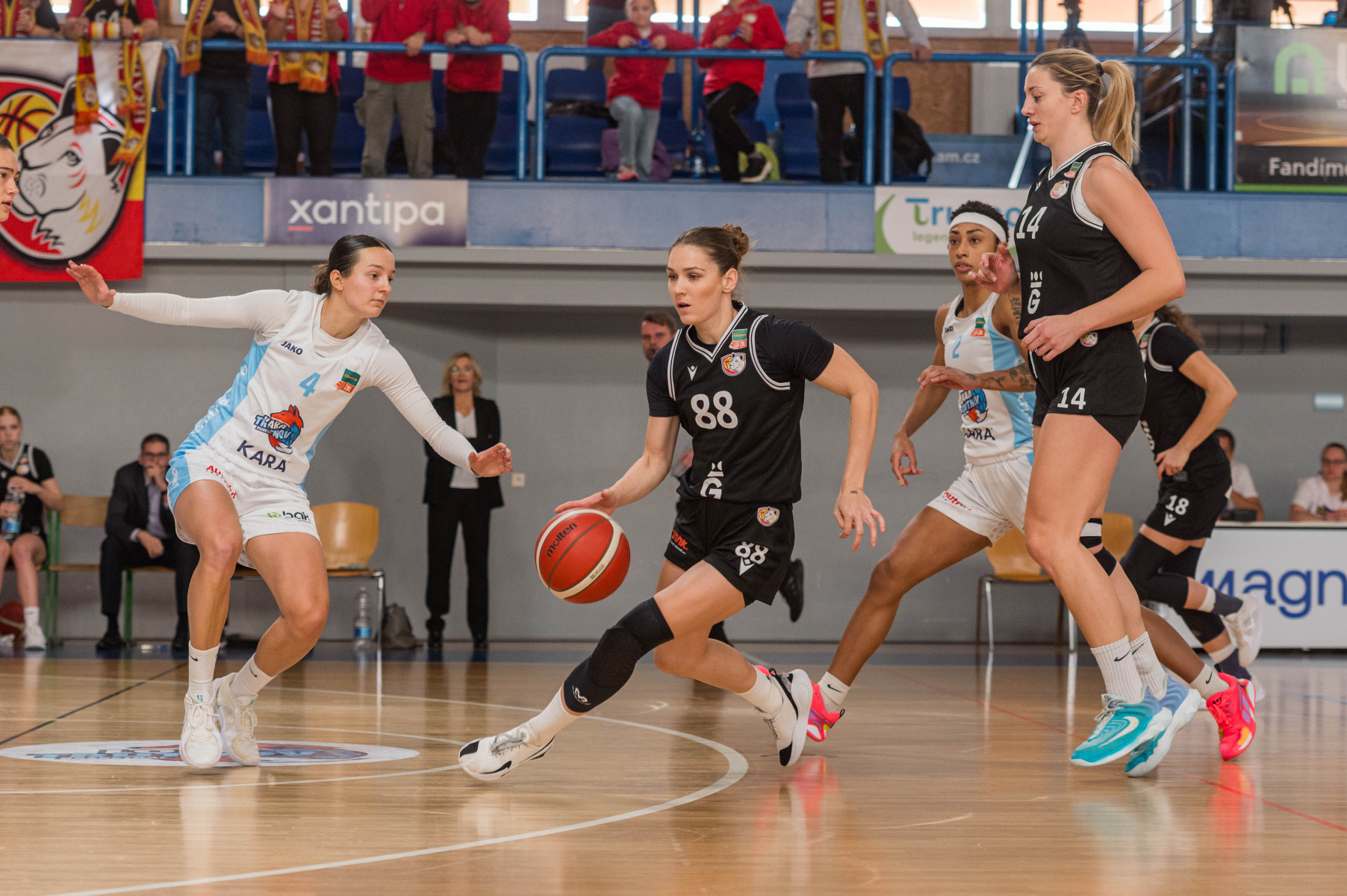 19.10.2025 - KARA Trutnov - Sokol Hradec Králové